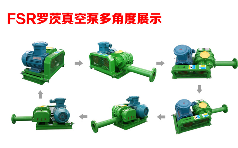 FSR羅茨真空泵多角度展示 FSR羅茨真空泵多角度展示